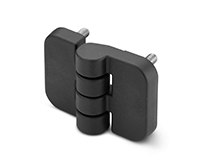 CFJ.-Tamperproof hinges